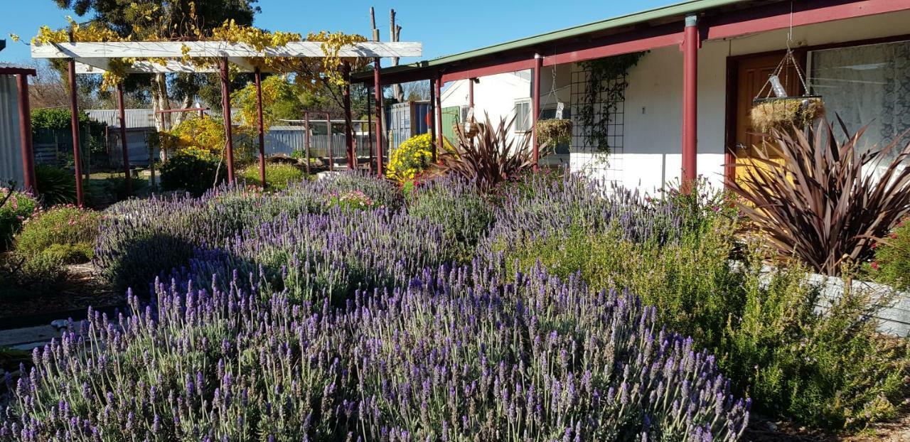 Clunes Motel Exterior foto